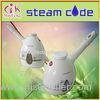 Magnetic Therapy Portable Facial Steamer Of Stainless Steel Pipe