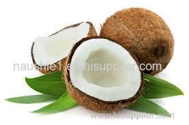 Offer To Sell Coconut Karnel