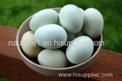 Offer To Sell Egg