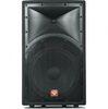 Live Sound Pro Audio DJ Passive PA Speaker System For Stage Monitor