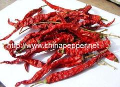 China Dried chilli pepper