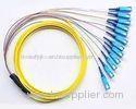 OM1 Ribbon Multi Fiber Optic Pigtails for Optical Communication Networks