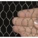 Hexagonal chicken poultry wire netting