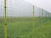 popular welding mesh fence(best price)