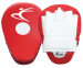 Focus Pad Curved or Punching Mitts.