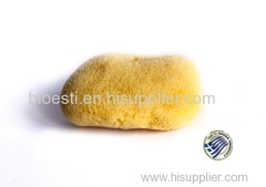 Natural Sea SPonge from Greeece