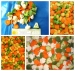 IQF/Frozen mixed vegetables of carrot dices and green peas and sweet corn