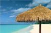 tropical beach seaside synthetic reed roof umbrella