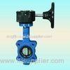 API, BS Lug Type Metal Seated Double Offset High Performance Butterfly Valve