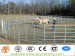 horse fence;horse panel;pipe horse panel;cattle horse fence