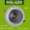 CREE COB 12W LED Downlight Mean well Driver LED Downlight