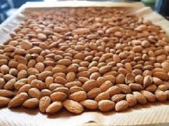 Almond nuts ( Dried )