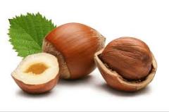 Hazelnuts (for chocolate production)