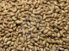 Nutritional cultivated pistachio nuts