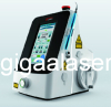 Veterinary Therapy Diode Laser Systems