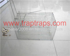 Single Door Bait Rat Cage Trap