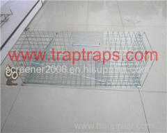 Single Door Bait Rat Cage Trap