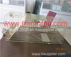 Single Door Bait Rat Cage Trap