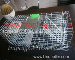 Single Door Bait Rat Cage Trap