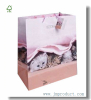 Large Gloss Paper Gift Bag Themed Little Kitty