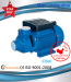 Electric Peripheral Water Pump