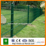dark green color double wire mesh