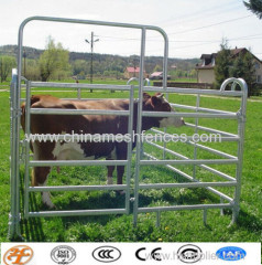 galvanized or powder coated 3 4 5 6rails horse fence factory