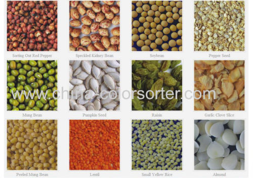 High accuracy hazelnuts ccd color sortex machine with Italy matrix ejectors