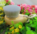 Face Cleansing Brush China Suppliers