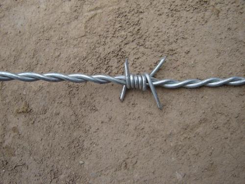 Heavy Zinc-coating Barbed Wire Coil