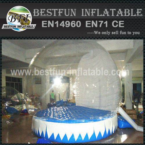 Snow Inflatable Globe for Sale