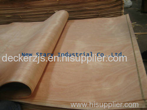 veneer plywood keruing okoume mersawa bintangor