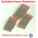 Resistors Top Manuacturer resistor