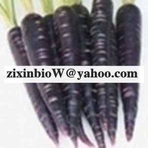 Black Carrot Color red powder