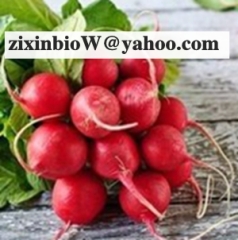 Here are Radish Red