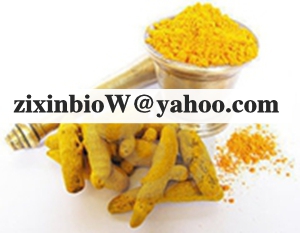 Turmeric Light yellow powder