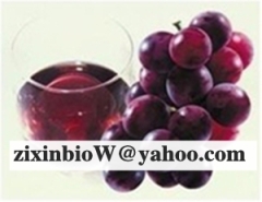 Here are Grape Skin Extract