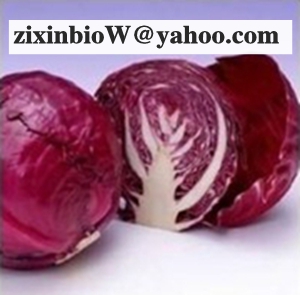 Here are Red Cabbage