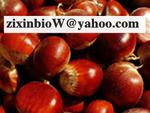 Here are Chestnut Shell Extract