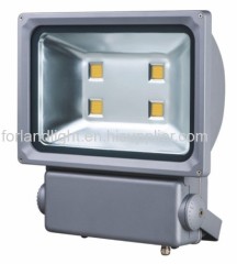 LED Flood Light / Floodlight