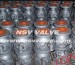 Cast floating full bore ball valve