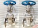 CN7M cast steel gate valve