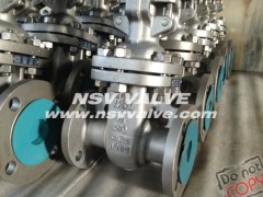 Alloy 20(CN7M) Gate Valve