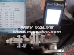 Alloy 20(CN7M) Gate Valve