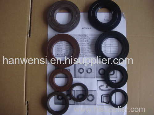 NBR/VITON LIP SEAL/Sealing ring