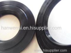 Sealing ring lip seal