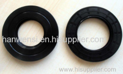 Sealing ring lip seal