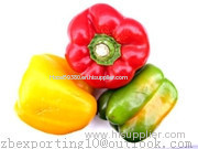 Capsicum Extract- plant extract