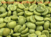 Green coffee bean extract