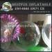 Inflatable floating water ball for sale